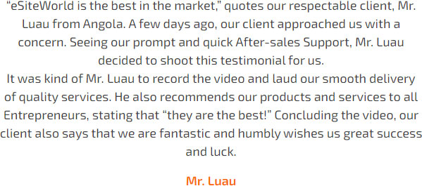 Mr. Luau